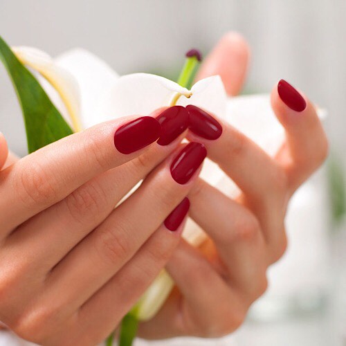 PARADISE NAIL SPA - gel x