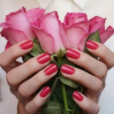 PARADISE NAIL SPA - Gel-X Add-ons